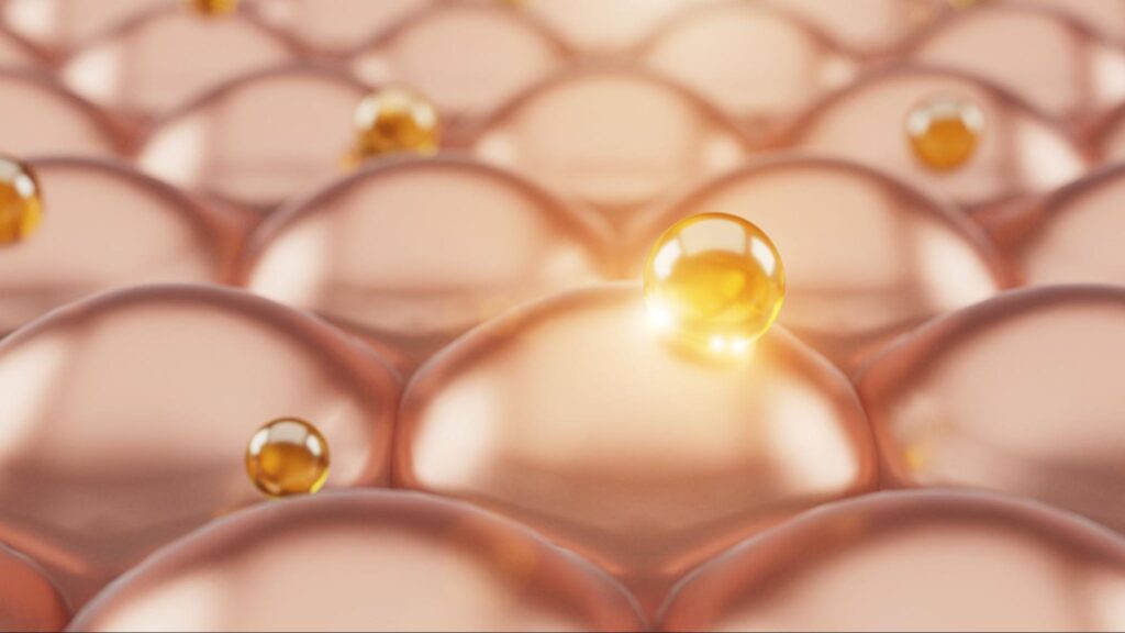 肌に浸透する美容成分