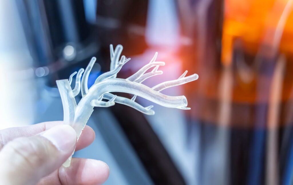 血管の模型を持つ手