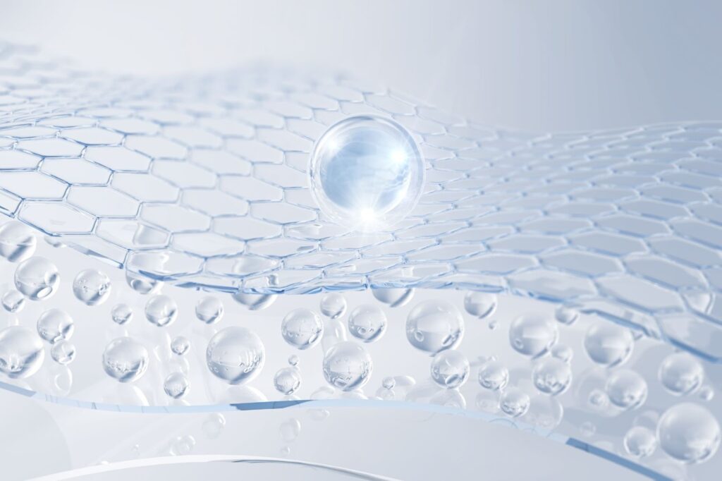 肌細胞のイメージ