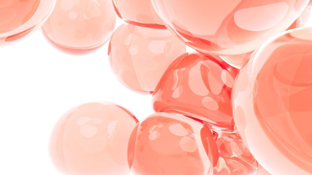 肌細胞イメージ